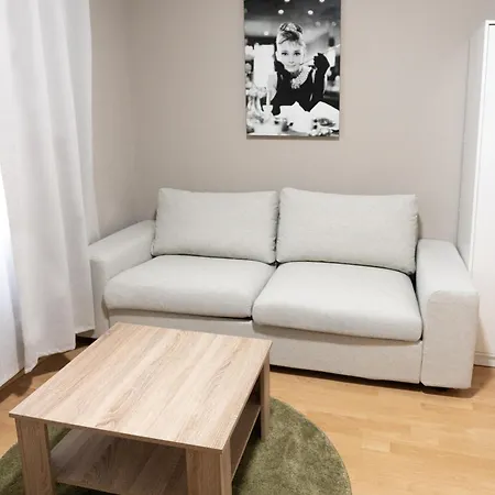Appartamento Ferienwohnung Hallenstrasse